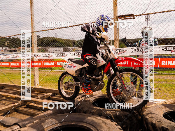 Buy your photos of the eventKing OFF Jungle 2019 on Fotop