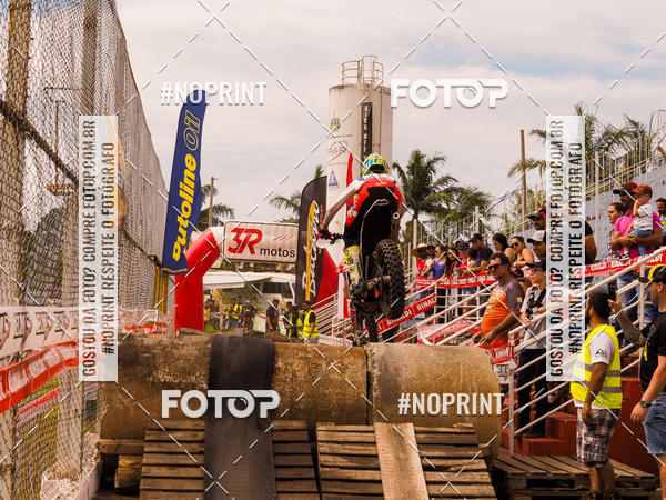Buy your photos of the eventKing OFF Jungle 2019 on Fotop