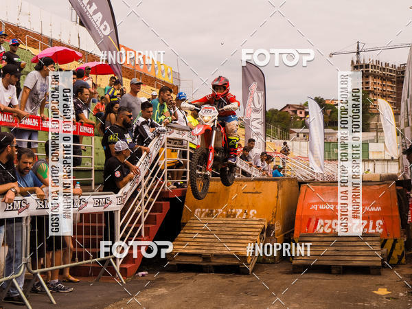 Buy your photos of the eventKing OFF Jungle 2019 on Fotop