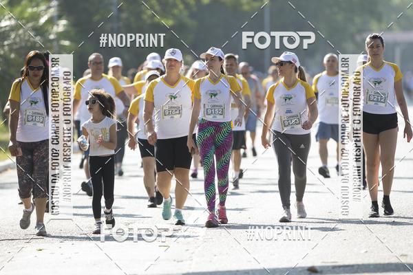 Buy your photos of the eventCorrida e Caminhada Trigo � Sa�de - Equipe ASI on Fotop