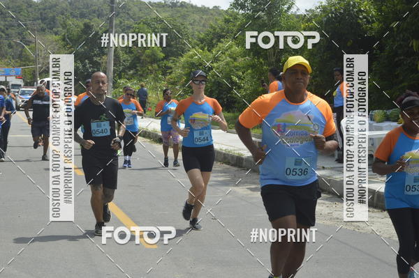 Buy your photos of the eventIV - CORRIDA ECOL�GICA DE MARIC� on Fotop