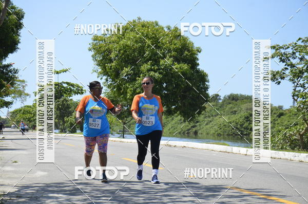 Buy your photos of the eventIV - CORRIDA ECOL�GICA DE MARIC� on Fotop