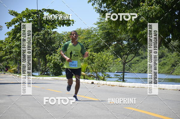 Buy your photos of the eventIV - CORRIDA ECOL�GICA DE MARIC� on Fotop