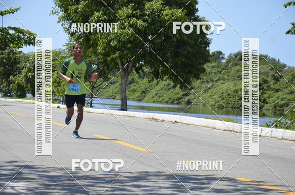 Buy your photos of the eventIV - CORRIDA ECOL�GICA DE MARIC� on Fotop