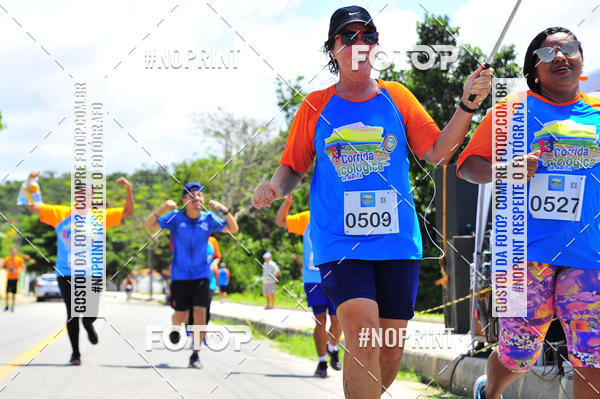 Buy your photos of the eventIV - CORRIDA ECOL�GICA DE MARIC� on Fotop