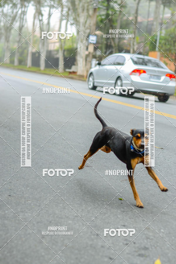 Buy your photos of the event1 CORRIDA E CAMINHADA HOSPITAL VILA DA SERRA on Fotop