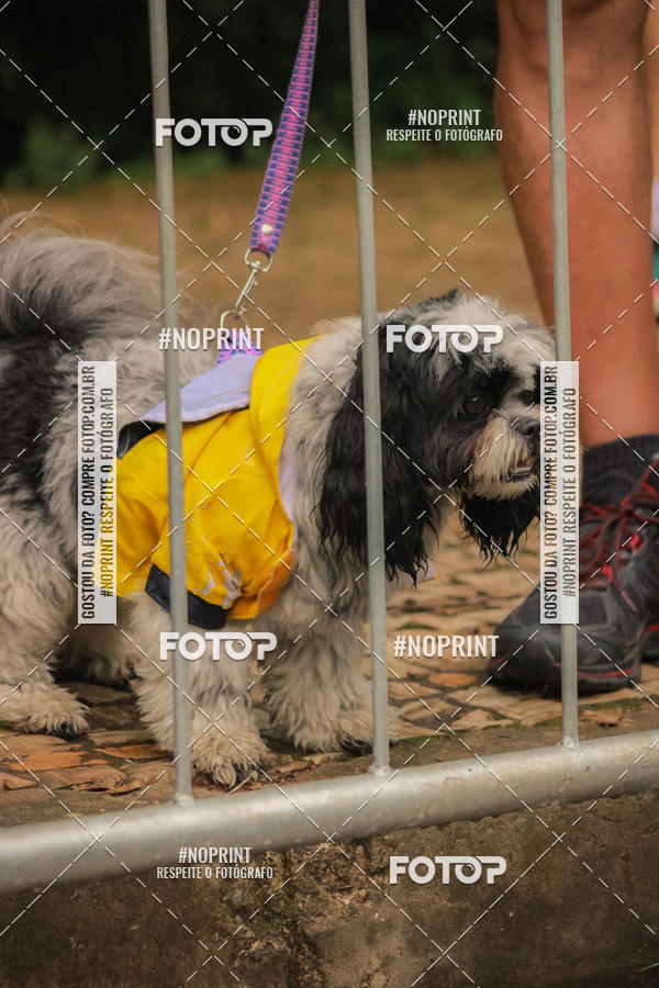 Buy your photos of the event1 CORRIDA E CAMINHADA HOSPITAL VILA DA SERRA on Fotop