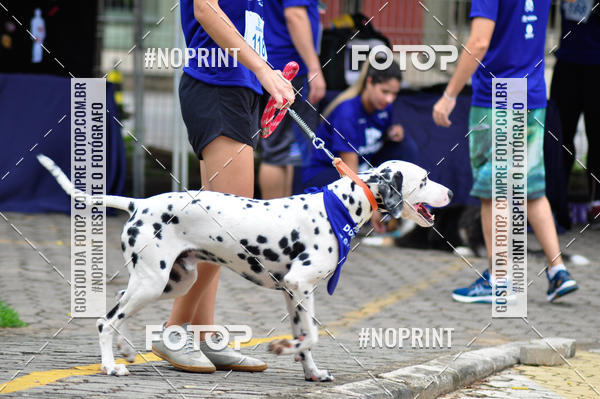 Buy your photos of the eventDogRun Corrida e Cominhada on Fotop