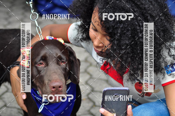 Buy your photos of the eventDogRun Corrida e Cominhada on Fotop