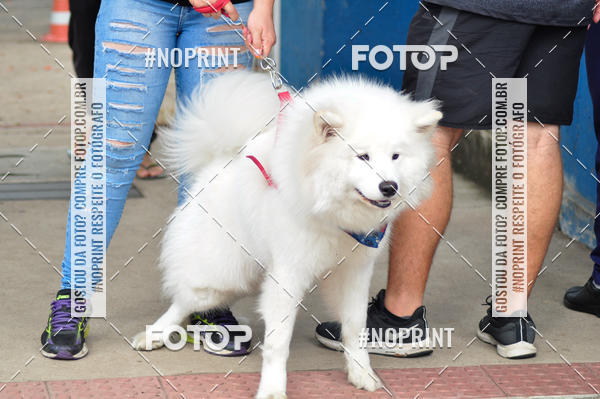 Buy your photos of the eventDogRun Corrida e Cominhada on Fotop
