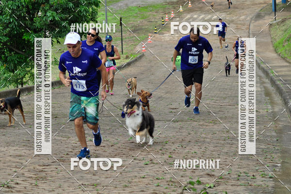 Buy your photos of the eventDogRun Corrida e Cominhada on Fotop