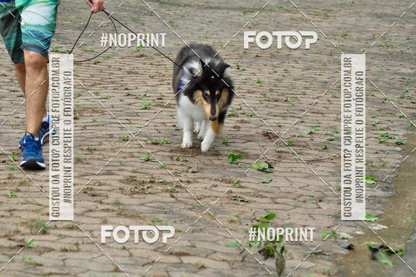 Buy your photos of the eventDogRun Corrida e Cominhada on Fotop