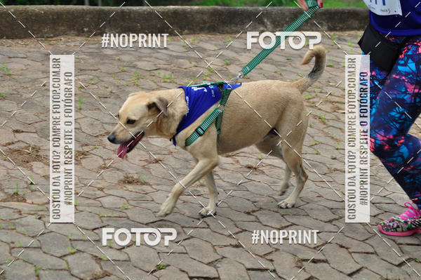 Buy your photos of the eventDogRun Corrida e Cominhada on Fotop