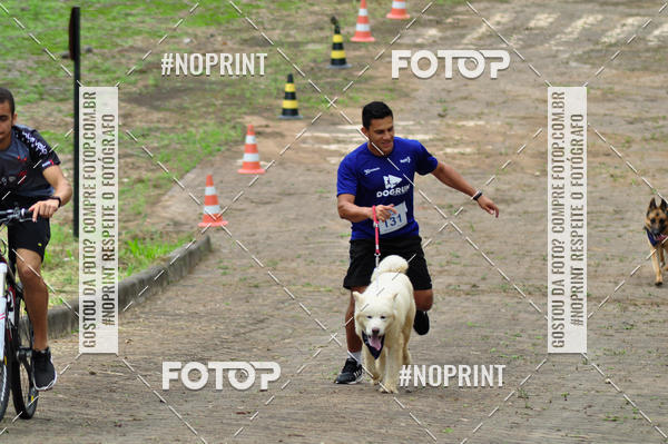 Buy your photos of the eventDogRun Corrida e Cominhada on Fotop