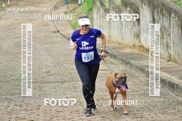 Buy your photos of the eventDogRun Corrida e Cominhada on Fotop