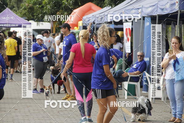 Buy your photos of the eventDogRun Corrida e Cominhada on Fotop