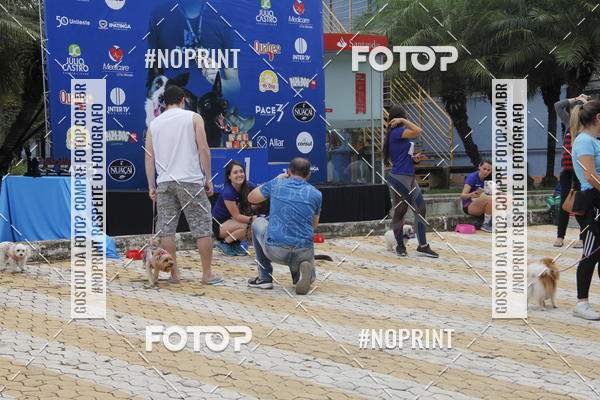 Buy your photos of the eventDogRun Corrida e Cominhada on Fotop