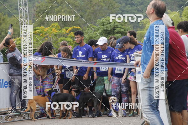 Buy your photos of the eventDogRun Corrida e Cominhada on Fotop