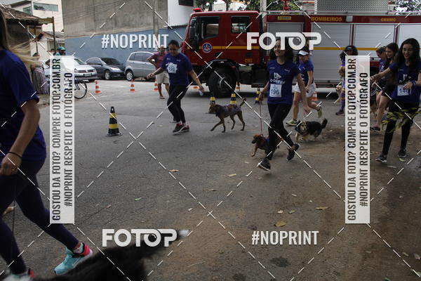 Buy your photos of the eventDogRun Corrida e Cominhada on Fotop