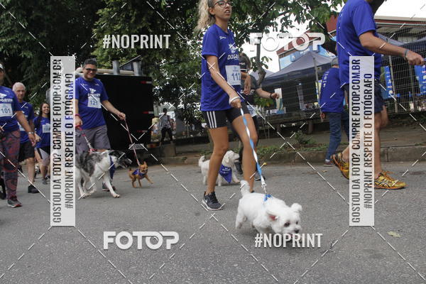 Buy your photos of the eventDogRun Corrida e Cominhada on Fotop