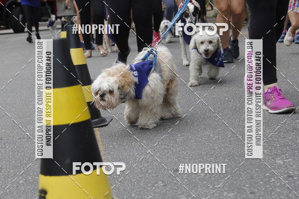 Buy your photos of the eventDogRun Corrida e Cominhada on Fotop
