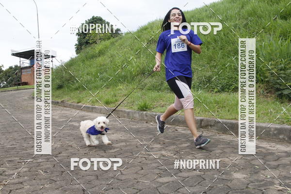 Buy your photos of the eventDogRun Corrida e Cominhada on Fotop