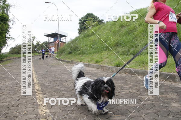 Buy your photos of the eventDogRun Corrida e Cominhada on Fotop