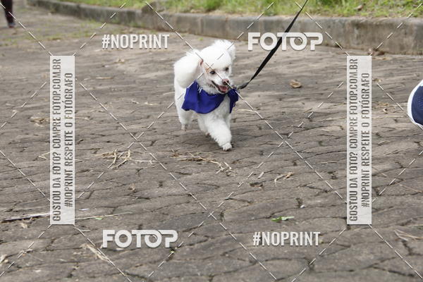 Buy your photos of the eventDogRun Corrida e Cominhada on Fotop