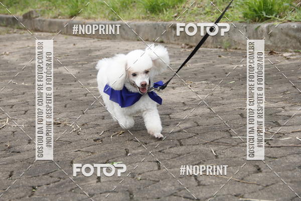Buy your photos of the eventDogRun Corrida e Cominhada on Fotop