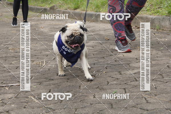 Buy your photos of the eventDogRun Corrida e Cominhada on Fotop
