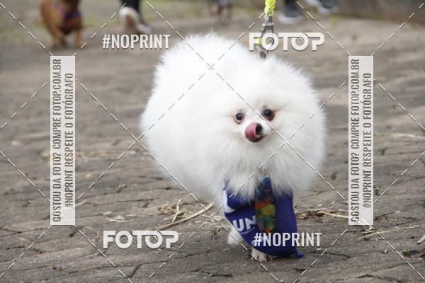 Buy your photos of the eventDogRun Corrida e Cominhada on Fotop