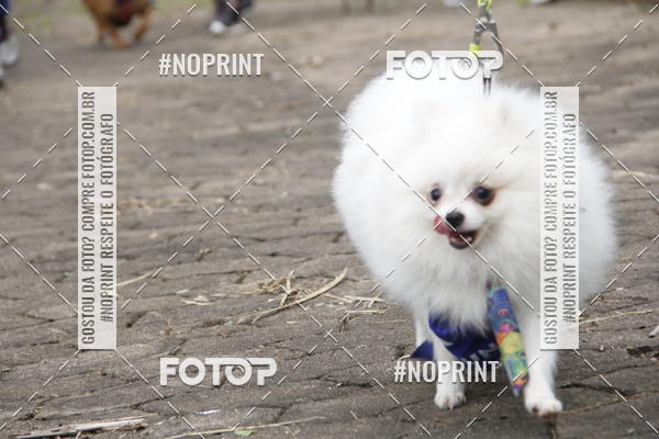 Buy your photos of the eventDogRun Corrida e Cominhada on Fotop