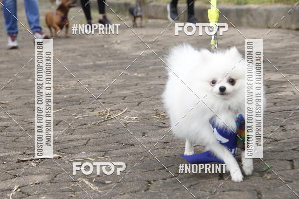 Buy your photos of the eventDogRun Corrida e Cominhada on Fotop