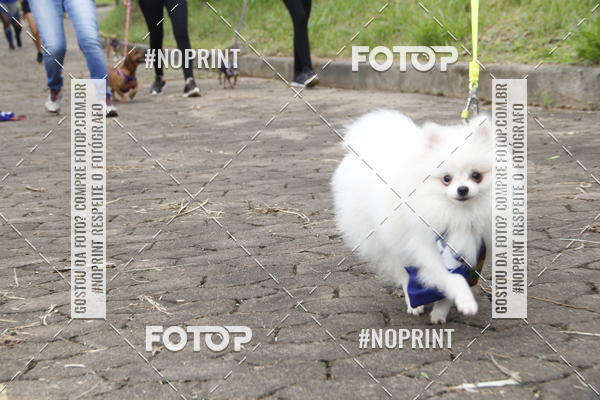 Buy your photos of the eventDogRun Corrida e Cominhada on Fotop