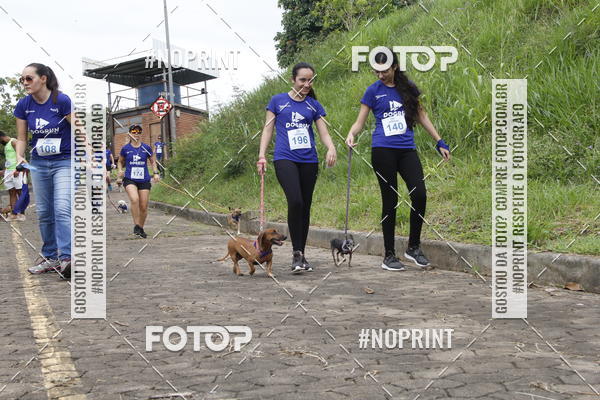 Buy your photos of the eventDogRun Corrida e Cominhada on Fotop
