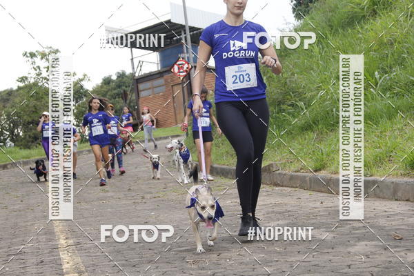 Buy your photos of the eventDogRun Corrida e Cominhada on Fotop