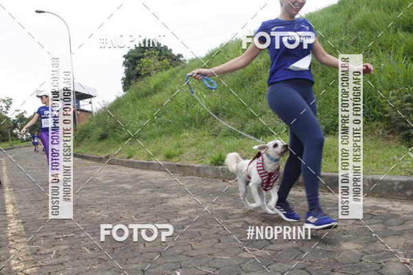 Buy your photos of the eventDogRun Corrida e Cominhada on Fotop
