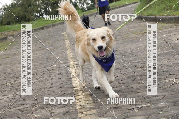 Buy your photos of the eventDogRun Corrida e Cominhada on Fotop