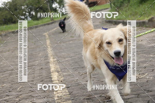 Buy your photos of the eventDogRun Corrida e Cominhada on Fotop