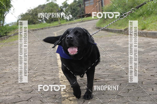 Buy your photos of the eventDogRun Corrida e Cominhada on Fotop
