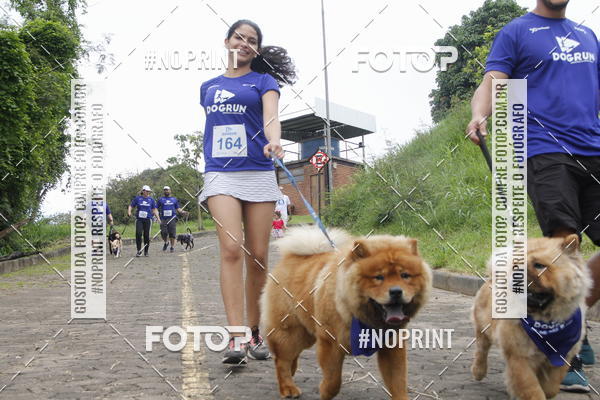 Buy your photos of the eventDogRun Corrida e Cominhada on Fotop