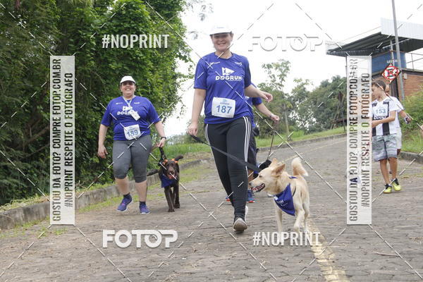 Buy your photos of the eventDogRun Corrida e Cominhada on Fotop