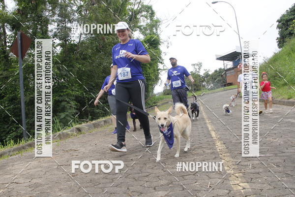 Buy your photos of the eventDogRun Corrida e Cominhada on Fotop