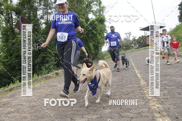 Buy your photos of the eventDogRun Corrida e Cominhada on Fotop