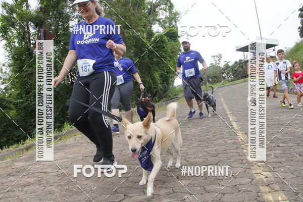 Buy your photos of the eventDogRun Corrida e Cominhada on Fotop
