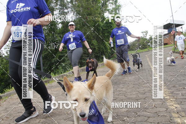 Buy your photos of the eventDogRun Corrida e Cominhada on Fotop