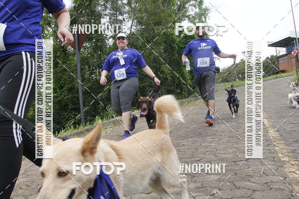 Buy your photos of the eventDogRun Corrida e Cominhada on Fotop