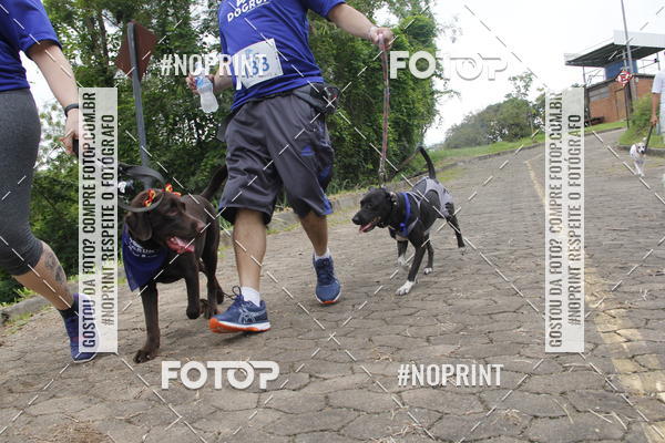 Buy your photos of the eventDogRun Corrida e Cominhada on Fotop