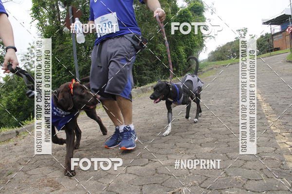 Buy your photos of the eventDogRun Corrida e Cominhada on Fotop