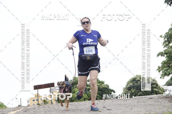 Buy your photos of the eventDogRun Corrida e Cominhada on Fotop